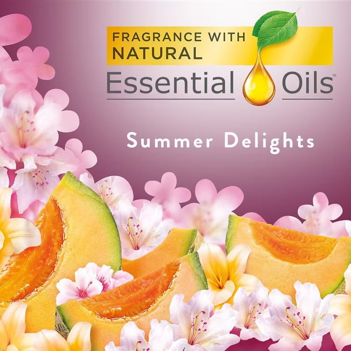 Air Wick Freshmatic Summer Delights Refill 5.89 oz - 6 Pack