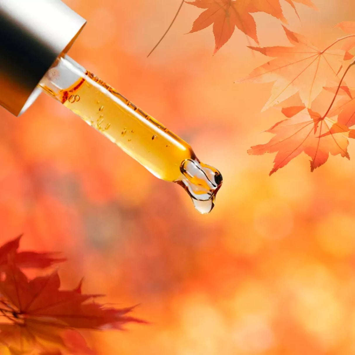 Air Wick - Scented Oil, Apple Cinnamon Medley - 3.38 Oz  (5 Ct Each) - 5 Pack