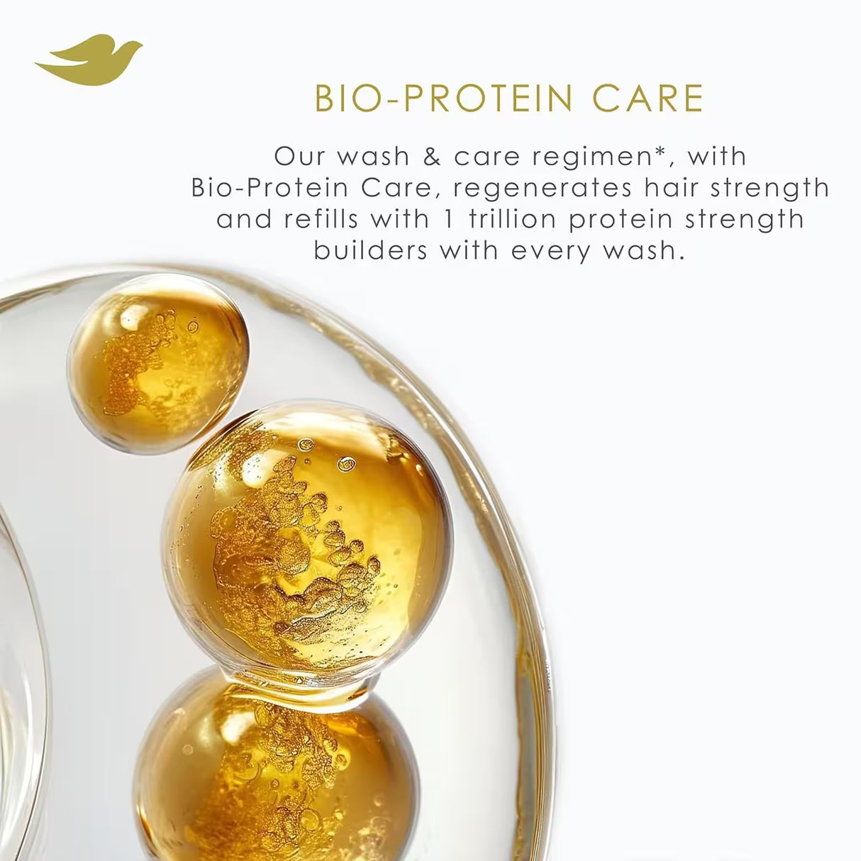 Dove Coconut & Hydration Shampoo – 12 fl oz – 6 Pack - 100 cases pallet