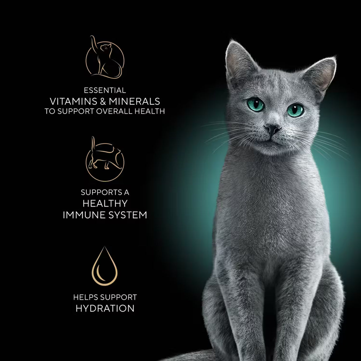 Sheba Perfect Portions Wet Cat Food Tuna & Seafood Entrée – 2.6 oz – 24 Pack