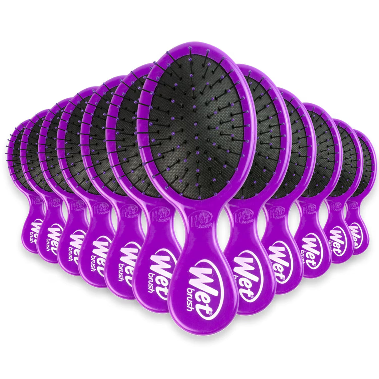 Wet Brush Squirt Mini Detangling Hair Brush Assorted Colors - 1 Ct - 24 Pack
