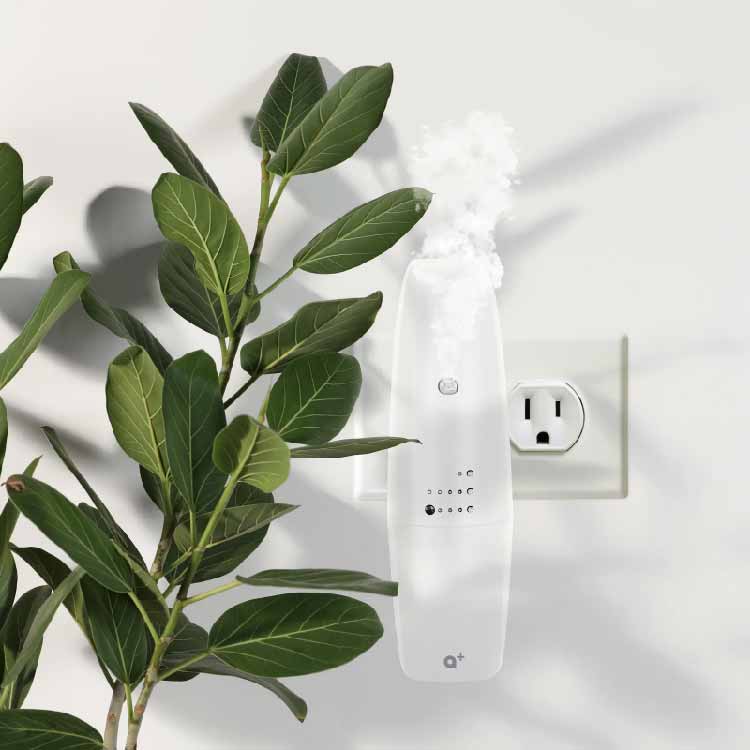 Aromar Plus - Plug In Waterless Diffuser White