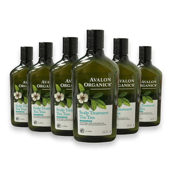 Avalon -  Organics Shampoo, Scalp Treatment, Tea Tree - 11 Oz - 6 Pack | Avalon Organics - Wholesale