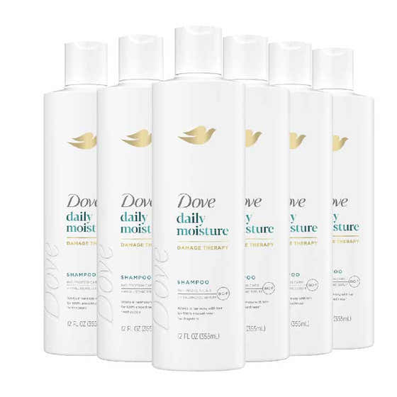Dove - Daily Moisture Shampoo 12 oz - 6 Pack | Dove - Hair Care Wholesale