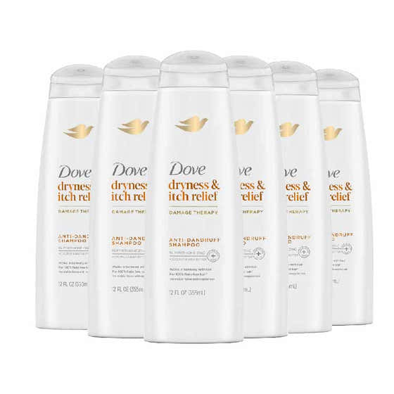 Dove - Dermacare Scalp Haircare Anti-Dandruff Shampoo Dryness & Itch Relief  12 oz - 6 Pack | Dove - Hair Care Wholesale