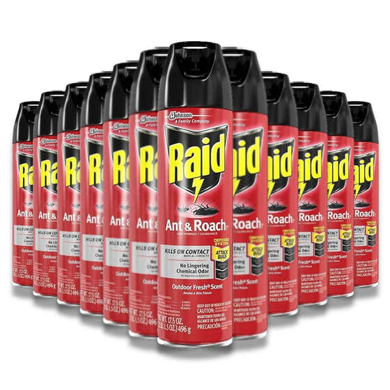 Raid - Ant and Roach Killer, Outdoor Fresh - 17.5 Oz - 12 Pack | Raid - member5%