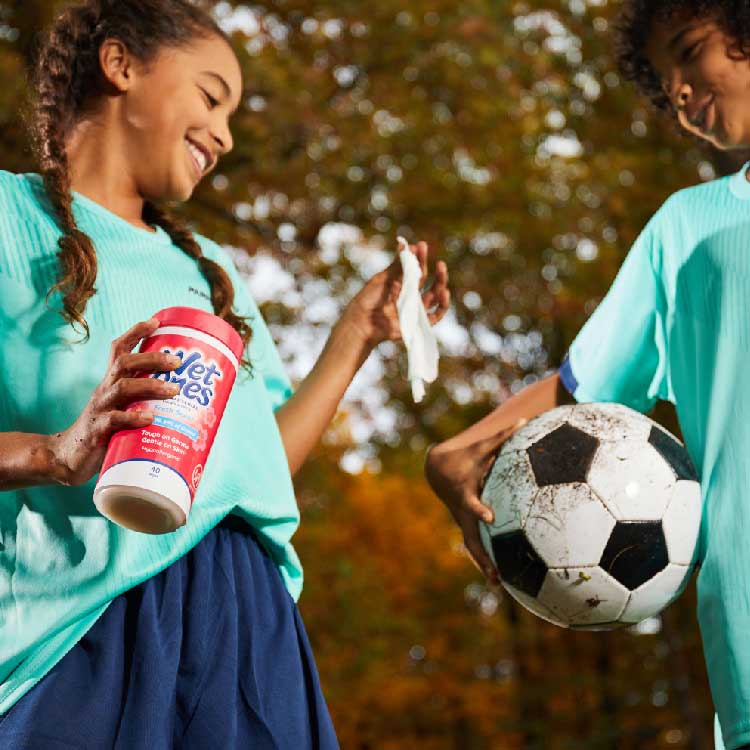 Wet Ones - Hand Wipes Fresh Scent 40 ct ea - 12 pack