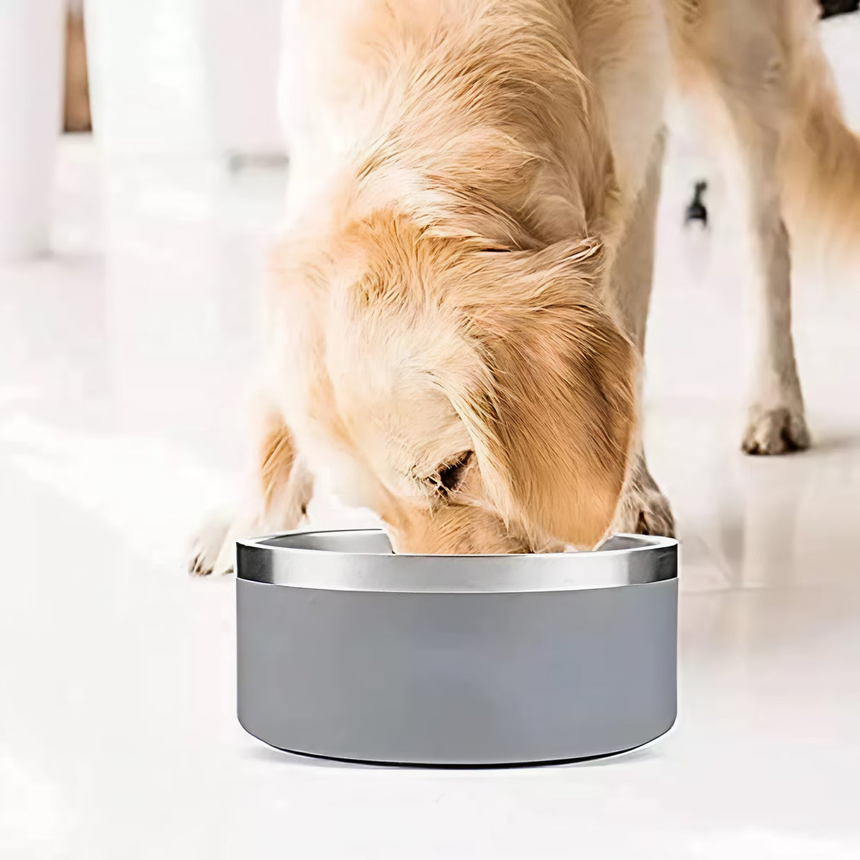 Gteller Stainless Steel Double Wall Dog Bowl 64 oz, Green