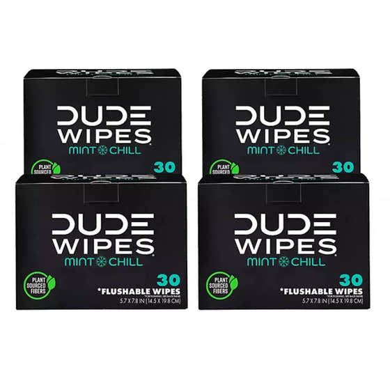 DUDE WIPES XL On-the-Go Flushable Wipes, Mint Chill - 4 Ct - 120 wipes | Dude - Paper Products