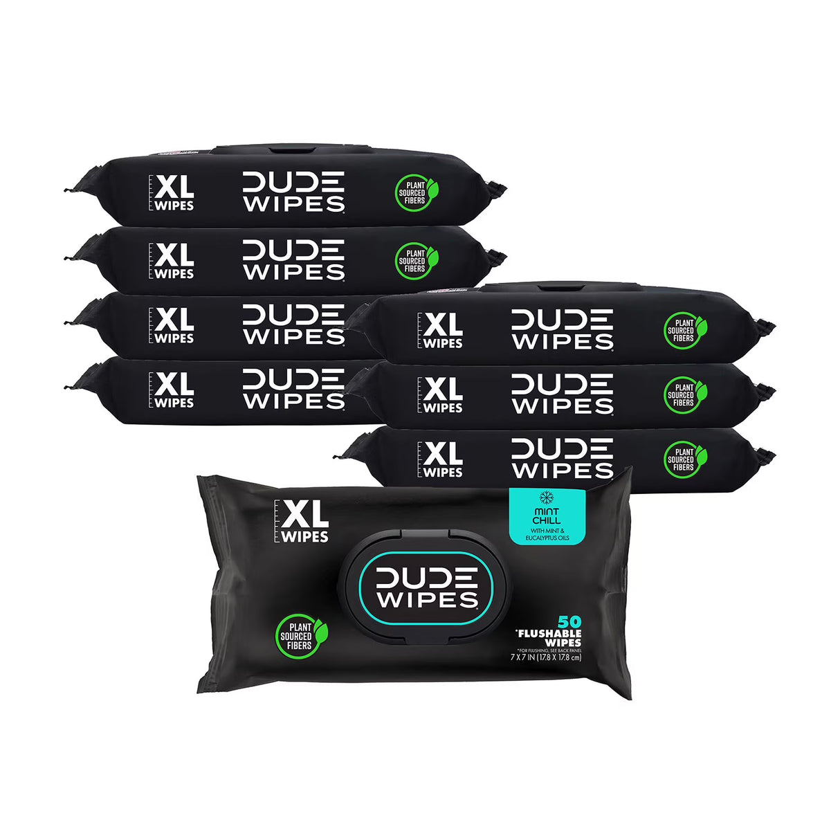 Dude Wipes - Wipes Flushable Wipes, Extra Large, Mint Chill Wipes (400 Ct)