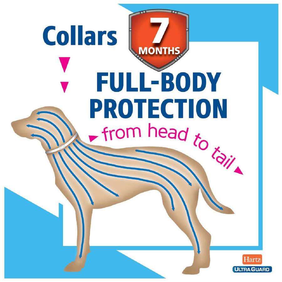 Hartz UltraGuard Flea & Tick Collar for Large Dogs- 48 Pack