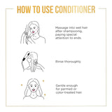 Pantene Pro-V Daily Moisture Renewal Conditioner - 10.4 oz - 12 Pack