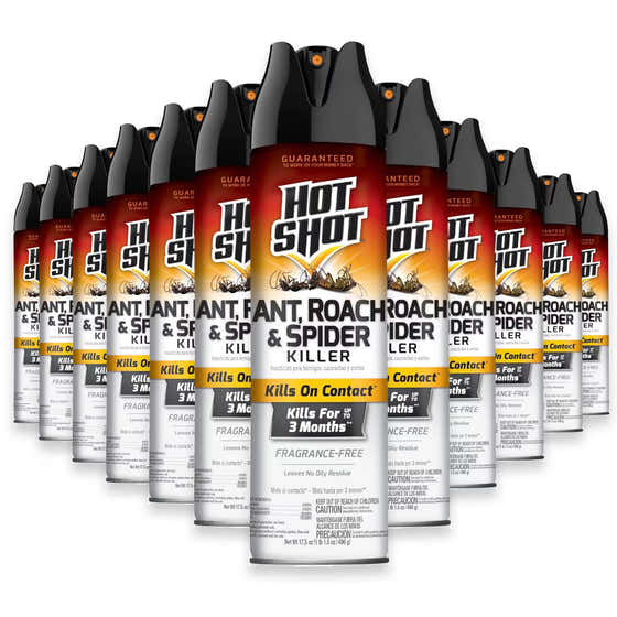 Hot Shot Ant and Roach Fragrance Free, 17.5 oz - 12 Pack | Hot Shot - New Arrivals