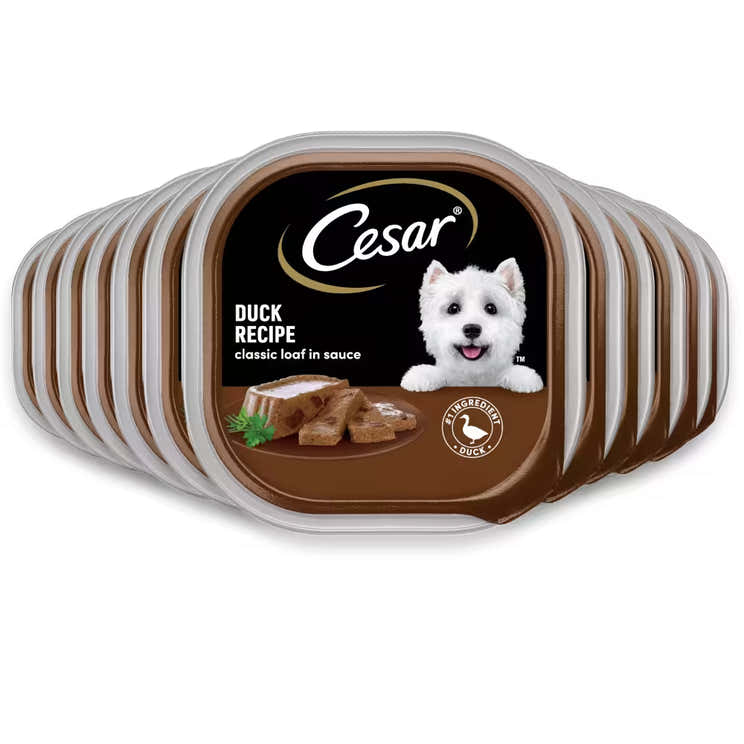 Cesar Canine Cuisine Wet Dog Food Duck Flavor – 3.5 oz – 12 Pack | Cesar - Pre Order