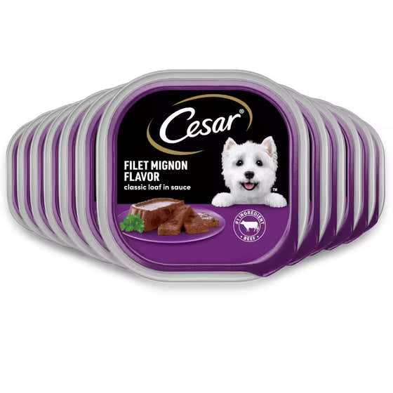 Cesar Classic Wet Dog Food Filet Mignon Flavor – 3.5 oz – 24 Pack | Cesar - Pet Supplies