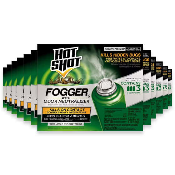 Hot Shot Flying Insect Killer Aerosol – 2 Oz – 12 Pack | Hot Shot - Household - Wholesale