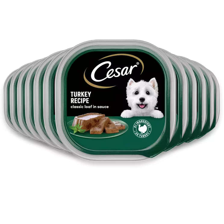Cesar Turkey Flavor Wet Dog Food – 3.5 oz – 12 Pack | Cesar - Pre Order