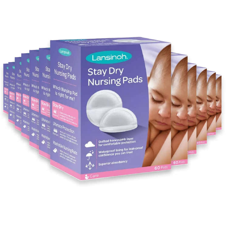 Lansinoh Stay Dry Nursing Pads – 60 Count – 12 Pack | Lansinoh - Pre Order