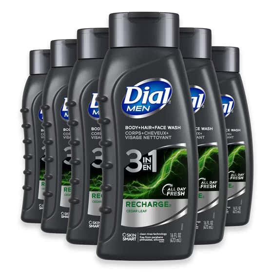Dial Body Wash Men Recharge 3-in-1, 16 fl oz – 6 Pack | Dial - Wholesale
