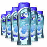 Dial Body Wash Spring Water – 16 oz – 6 Pack