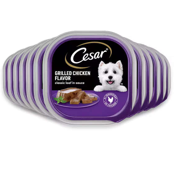 Cesar Grilled Chicken Flavor Wet Dog Food – 3.5 oz – 12 Pack | Cesar - Pet Supplies