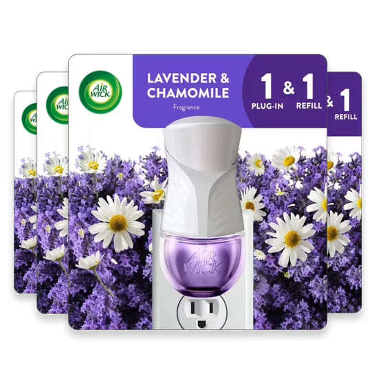 Air Wick Scented Oil Starter Kit Lavender &amp; Chamomile – 0.67 oz – 4 Pack | Air Wick - Household - Wholesale