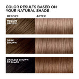 L’Oréal Paris Feria Permanent Hair Color – #B61 Hi-Lift Downtown Brown – 12 Pack