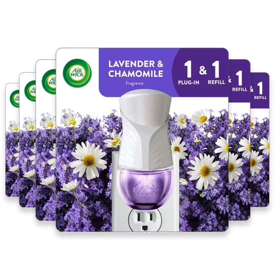 Air Wick Scented Oil Starter Kit Lavender &amp; Chamomile – 0.67 oz – 6 Pack | Air Wick - Household - Wholesale