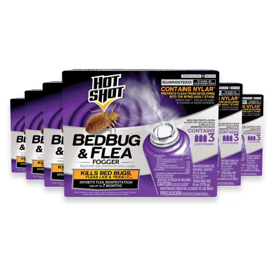 Hot Shot Bed Bug &amp; Flea Fogger, 3 per pack - 2 Oz - 6 Pack | Hot Shot - member5%