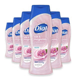 Dial Body Wash Silk & Magnolia – 16 oz – 6 Pack