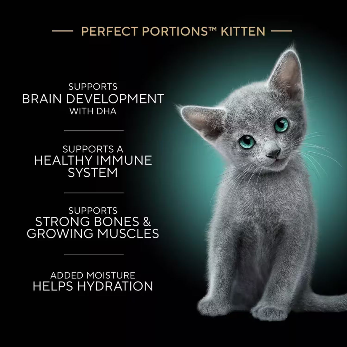 Sheba Perfect Portions Kitten Paté Chicken Entrée – 2.6 oz – 24 Pack