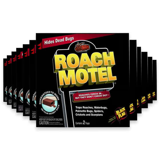 Black Flag Roach Motel Roach Trap - 2 Ct - 12 Pack | Black Flag - New Arrivals