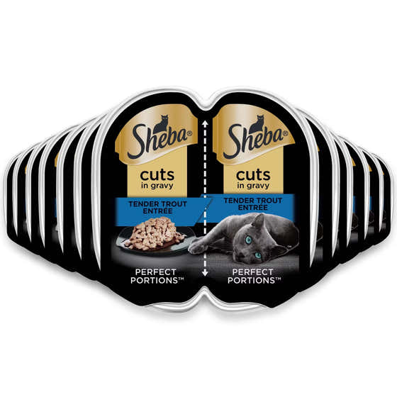 Sheba Perfect Portions Wet Cat Food Cuts in Gravy Tender Trout Entrée 2.6 oz - 12 Pack | Sheba - Products