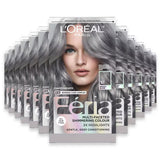 L'Oréal Paris Feria S1 Smokey Silver Permanent Hair Color Kit - 12 Pack