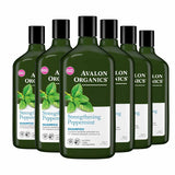 Avalon - Organics Shampoo Strengthening Peppermint  11 Fl. oz - 6 Pack