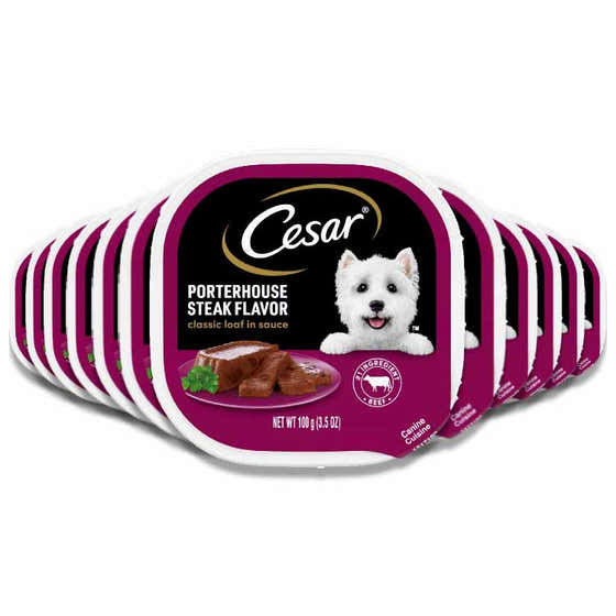 Cesar - Loaf in Sauce Porterhouse Beef Flavor Adult Wet Dog Food - 3.5 Oz - 24 Pack | Cesar - Wholesale