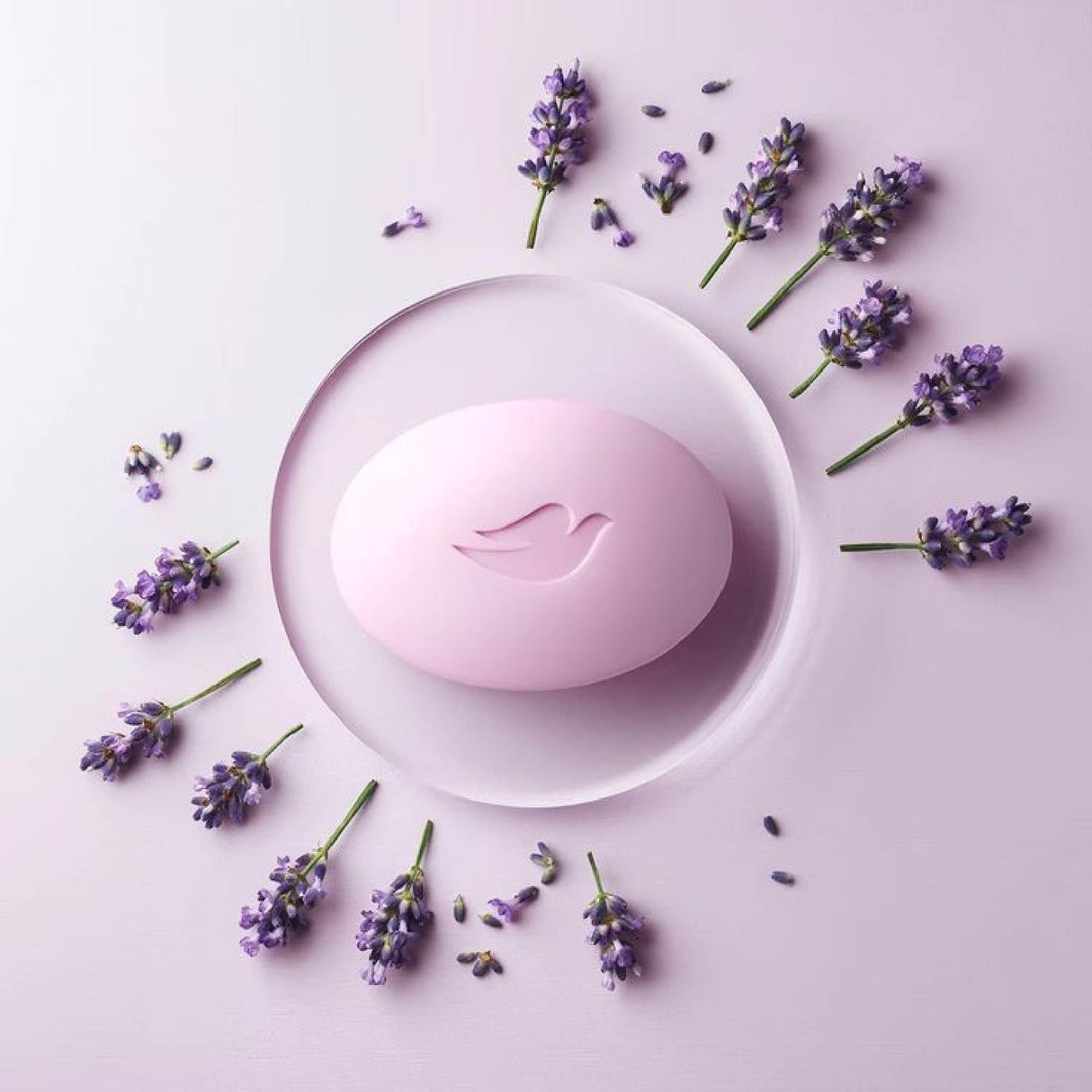 Dove Relaxing Beauty Bar with Lavender & Chamomile  3.75 OZ  6 ct - 12 Pack (72 ct)