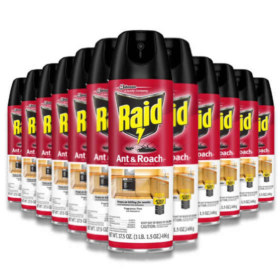 Raid - Ant And Roach Killer Aerosol Spray, Fragance Free - 17.5 Oz - 12 Pack | Raid - All products