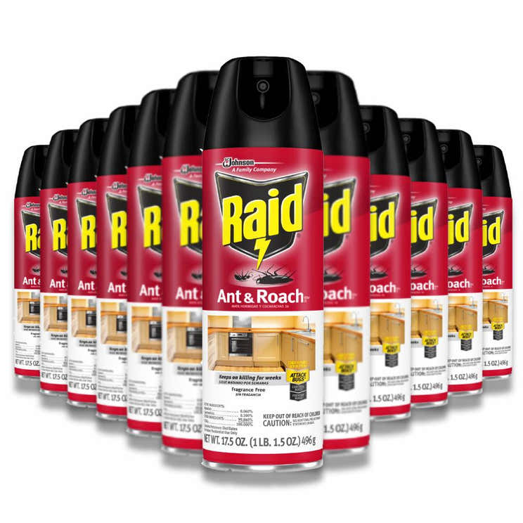 Raid - Ant And Roach Killer Aerosol Spray, Fragance Free - 17.5 Oz - 12 Pack | Raid - Pre Order