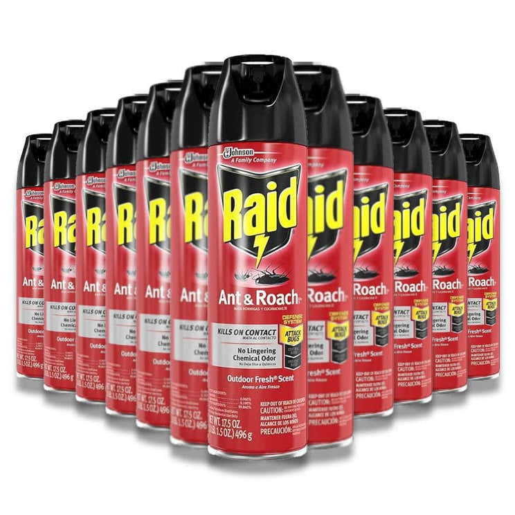 Raid - Ant and Roach Killer, Outdoor Fresh - 17.5 Oz - 12 Pack | Raid - Pre Order
