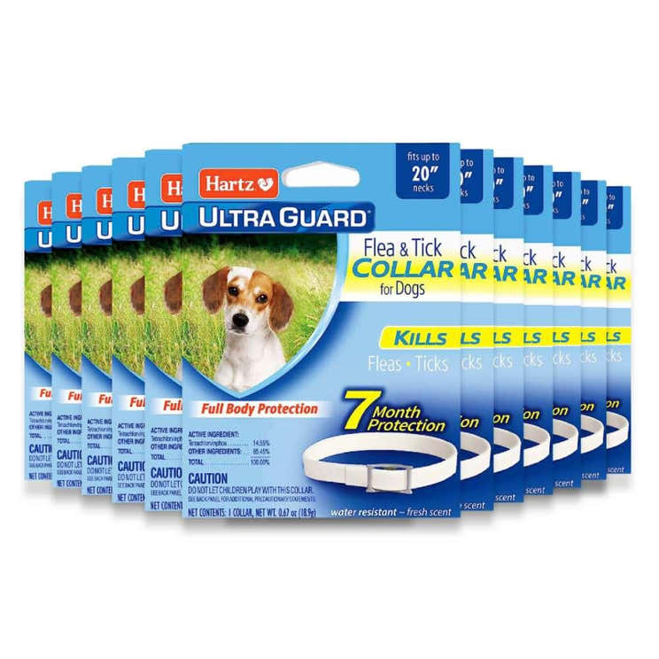 Hartz UltraGuard Flea &amp; Tick Dogs and Puppies Collar - 48 Pack - Hartz UltraGuard Flea &amp; Tick Collar for Dogs - 12...