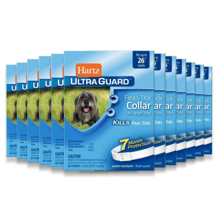Hartz UltraGuard Flea &amp; Tick Collar for Large Dogs- 48 Pack - Hartz Ultraguard Flea &amp; Tick Collar Large - 12 Pack ...