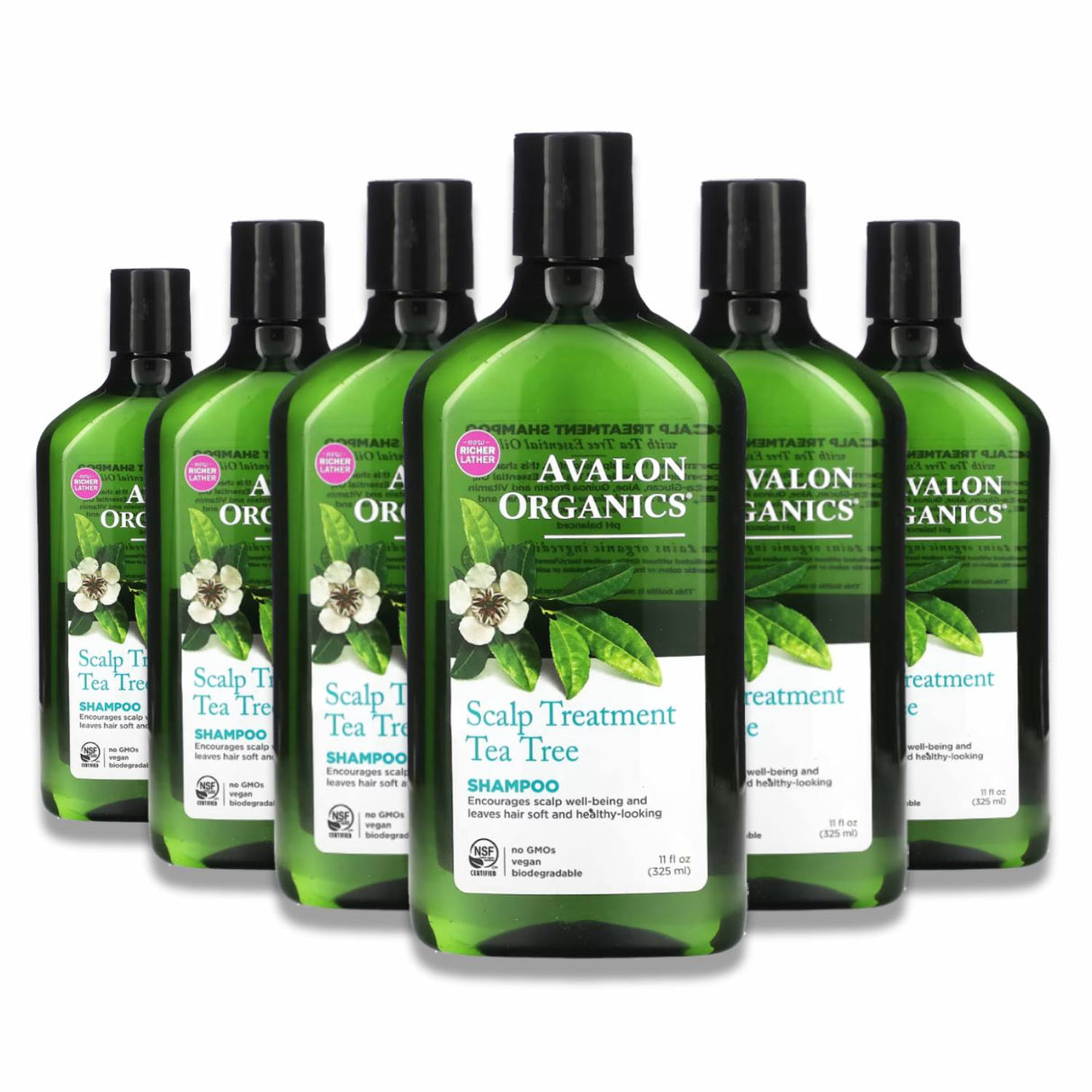 Avalon -  Organics, Shampoo, Scalp Treatment, Tea Tree - 11 Oz - 6 Pack
