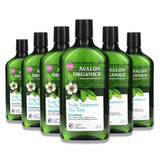 Avalon -  Organics, Shampoo, Scalp Treatment, Tea Tree - 11 Oz - 6 Pack