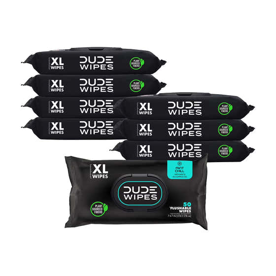 Dude Wipes - Wipes Flushable Wipes, Extra Large, Mint Chill Wipes (400 Ct) | Dude - Health &amp; Beauty Pack