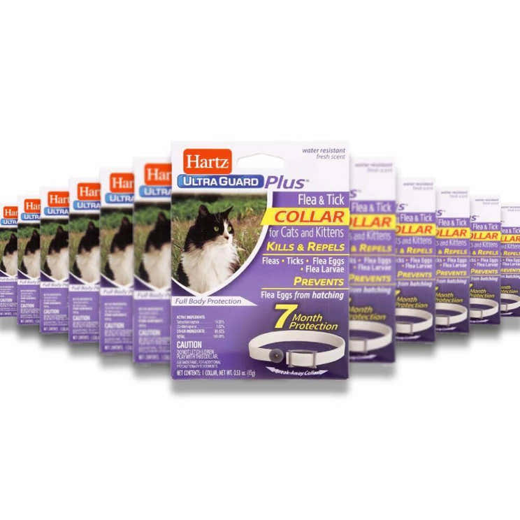 Hartz -UltraGuard Plus Flea &amp; Tick Collar for Cats &amp; Kittens - 1 Ct Each -  48 Pack - Hartz UltraGuard Plus Flea &...