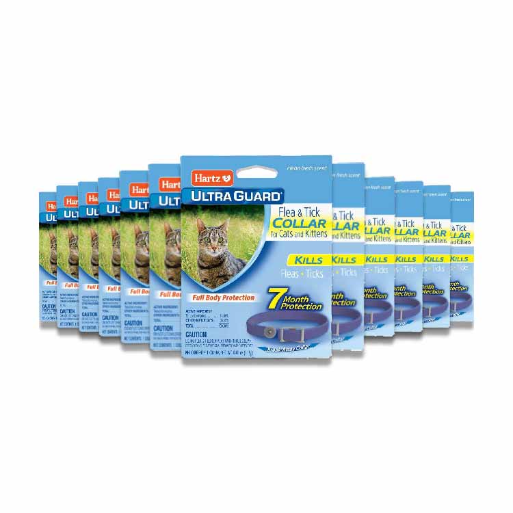 Hartz - UltraGuard Purple Flea & Tick Collar for Cats and Kittens - 0.53 Oz - 12 Pack